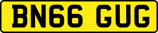 BN66GUG