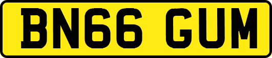 BN66GUM
