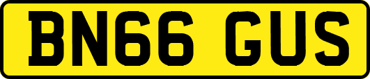 BN66GUS