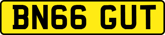 BN66GUT