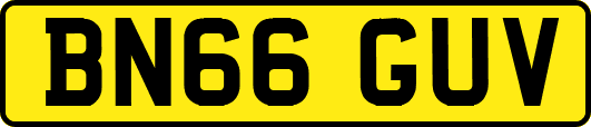 BN66GUV