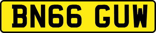 BN66GUW