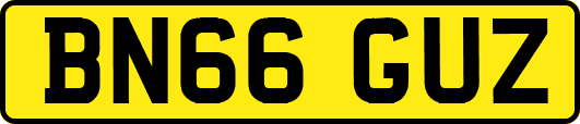 BN66GUZ