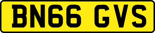 BN66GVS