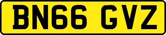 BN66GVZ