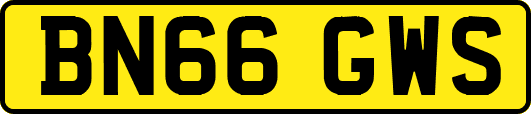 BN66GWS