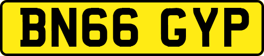 BN66GYP