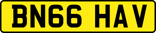 BN66HAV