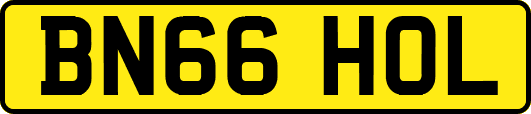 BN66HOL