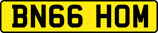 BN66HOM