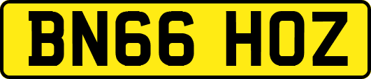 BN66HOZ