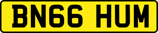 BN66HUM