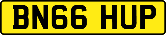 BN66HUP