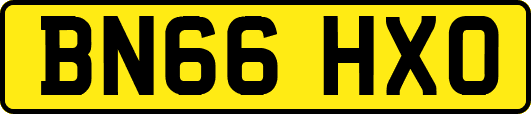 BN66HXO