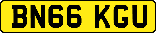BN66KGU
