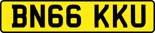BN66KKU