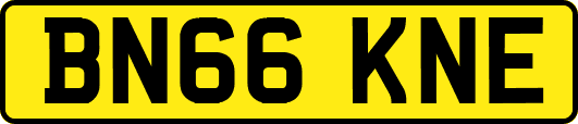BN66KNE