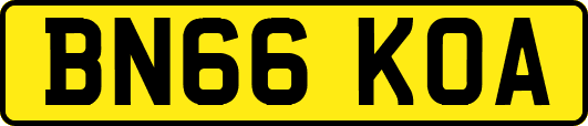 BN66KOA