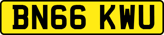 BN66KWU