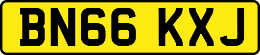 BN66KXJ