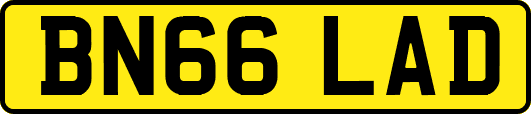 BN66LAD