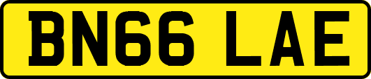 BN66LAE