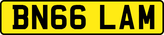 BN66LAM