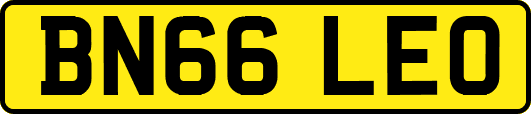BN66LEO