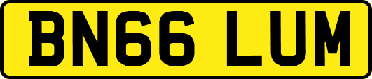 BN66LUM