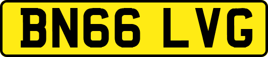 BN66LVG