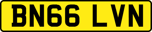 BN66LVN