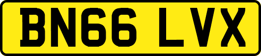 BN66LVX