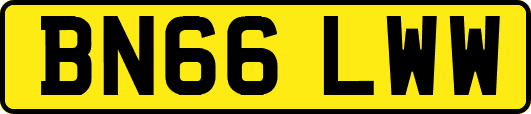 BN66LWW