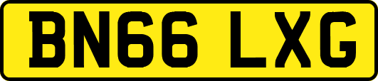 BN66LXG