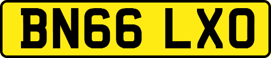 BN66LXO