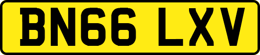BN66LXV