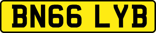 BN66LYB