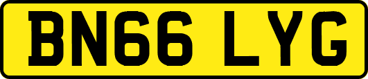 BN66LYG