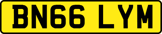 BN66LYM