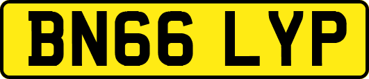 BN66LYP