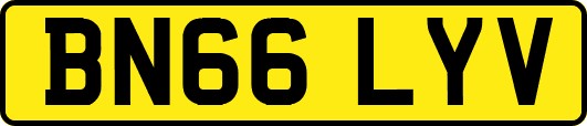 BN66LYV