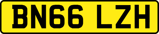 BN66LZH