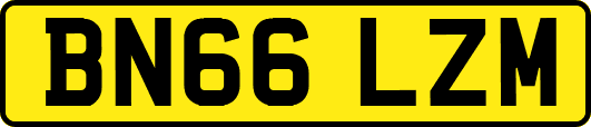 BN66LZM
