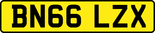BN66LZX