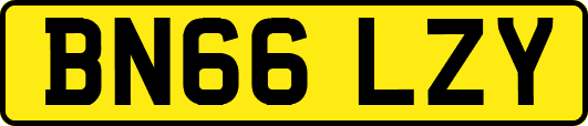 BN66LZY
