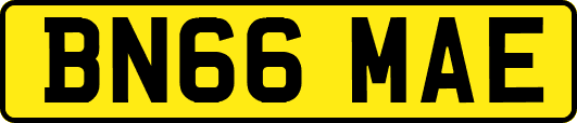 BN66MAE