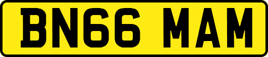 BN66MAM