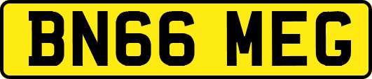 BN66MEG