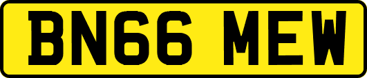 BN66MEW