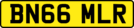 BN66MLR